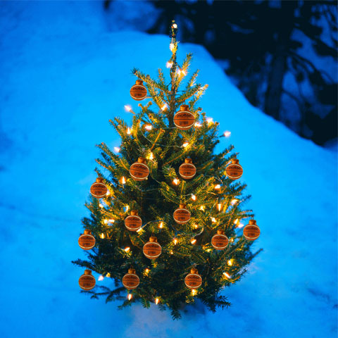 Weihnachtsbaum Weihnachtsbaum